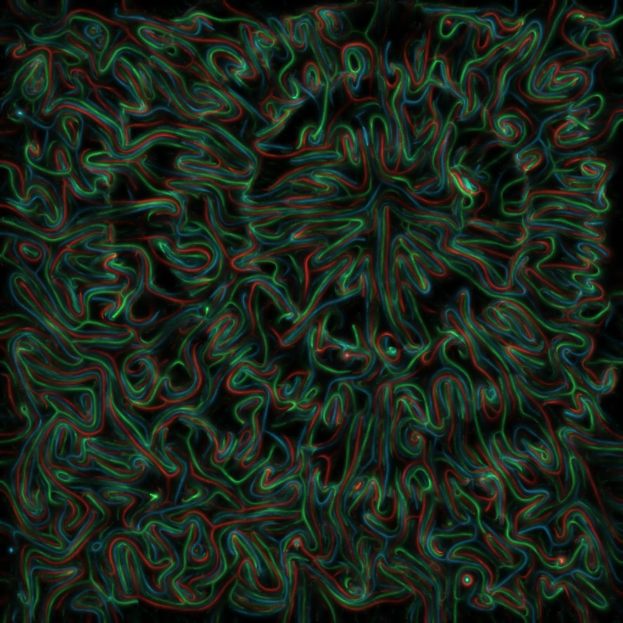 stigmergence edition 2